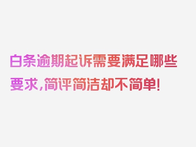 白条逾期起诉需要满足哪些要求，简评简洁却不简单！