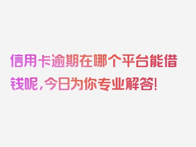 信用卡逾期在哪个平台能借钱呢，今日为你专业解答!