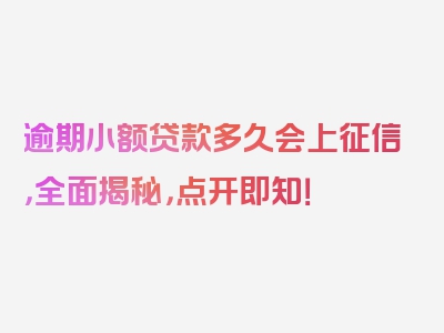 逾期小额贷款多久会上征信，全面揭秘，点开即知！