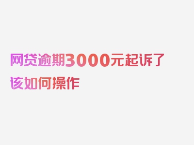 网贷逾期3000元起诉了该如何操作