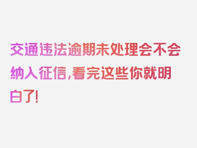 交通违法逾期未处理会不会纳入征信，看完这些你就明白了!