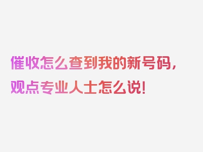 催收怎么查到我的新号码，观点专业人士怎么说！