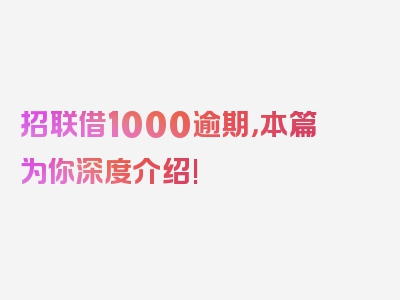 招联借1000逾期，本篇为你深度介绍!