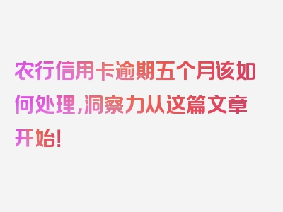 农行信用卡逾期五个月该如何处理，洞察力从这篇文章开始！