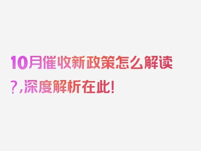 10月催收新政策怎么解读?，深度解析在此！