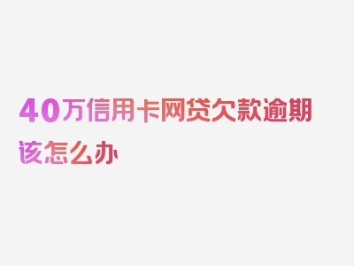 40万信用卡网贷欠款逾期该怎么办