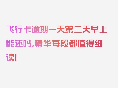 飞行卡逾期一天第二天早上能还吗，精华每段都值得细读！