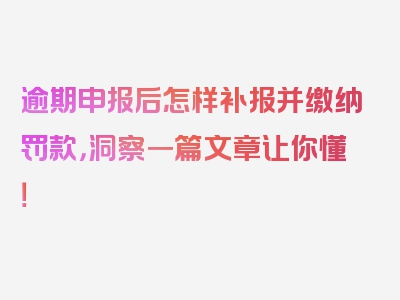 逾期申报后怎样补报并缴纳罚款，洞察一篇文章让你懂！