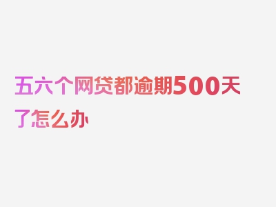 五六个网贷都逾期500天了怎么办