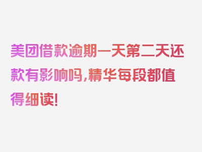 美团借款逾期一天第二天还款有影响吗，精华每段都值得细读！