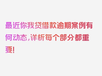 最近你我贷借款逾期案例有何动态，详析每个部分都重要！