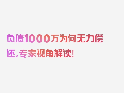 负债1000万为何无力偿还，专家视角解读！