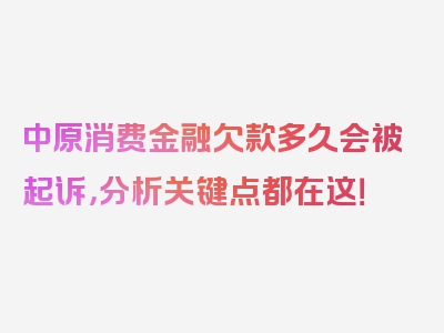 中原消费金融欠款多久会被起诉，分析关键点都在这！