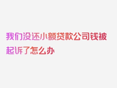 我们没还小额贷款公司钱被起诉了怎么办