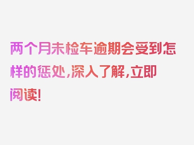 两个月未检车逾期会受到怎样的惩处，深入了解，立即阅读！