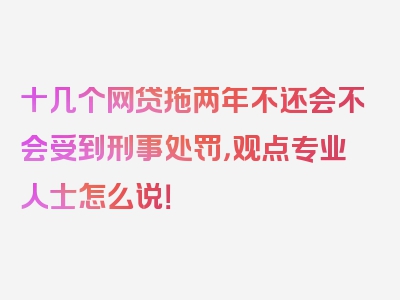 十几个网贷拖两年不还会不会受到刑事处罚，观点专业人士怎么说！