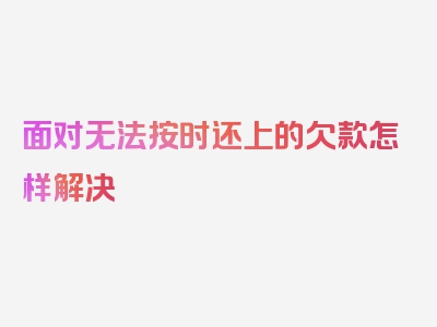 面对无法按时还上的欠款怎样解决