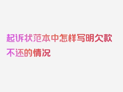 起诉状范本中怎样写明欠款不还的情况