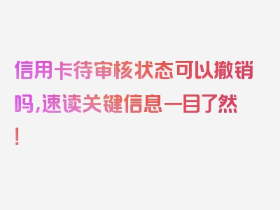 信用卡待审核状态可以撤销吗，速读关键信息一目了然！