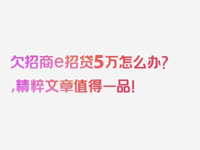 欠招商e招贷5万怎么办?，精粹文章值得一品！