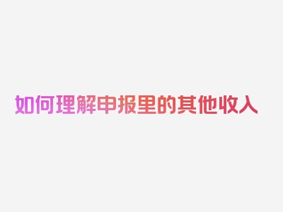 如何理解申报里的其他收入