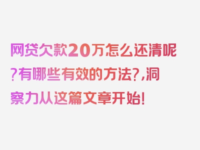 网贷欠款20万怎么还清呢?有哪些有效的方法?，洞察力从这篇文章开始！