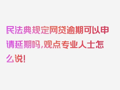 民法典规定网贷逾期可以申请延期吗，观点专业人士怎么说！