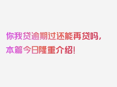 你我贷逾期过还能再贷吗，本篇今日隆重介绍!