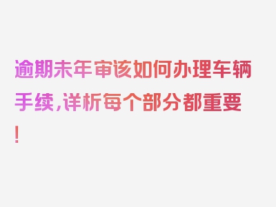 逾期未年审该如何办理车辆手续，详析每个部分都重要！