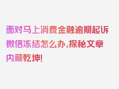 面对马上消费金融逾期起诉微信冻结怎么办，探秘文章内藏乾坤！