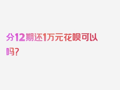 分12期还1万元花呗可以吗？