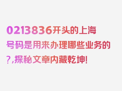 0213836开头的上海号码是用来办理哪些业务的?，探秘文章内藏乾坤！