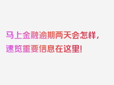 马上金融逾期两天会怎样，速览重要信息在这里！