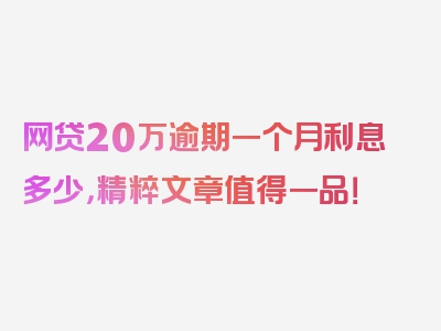 网贷20万逾期一个月利息多少，精粹文章值得一品！