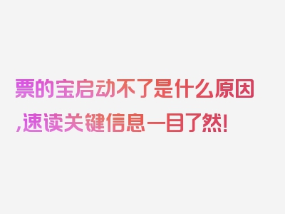 票的宝启动不了是什么原因，速读关键信息一目了然！