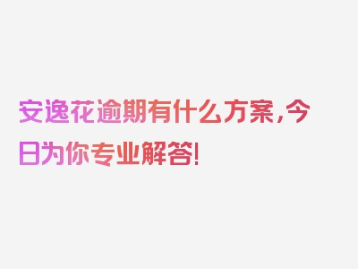 安逸花逾期有什么方案，今日为你专业解答!