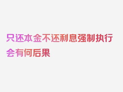 只还本金不还利息强制执行会有何后果