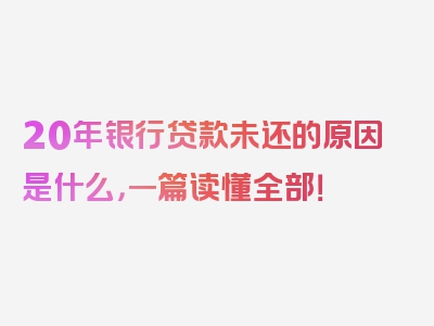 20年银行贷款未还的原因是什么，一篇读懂全部！