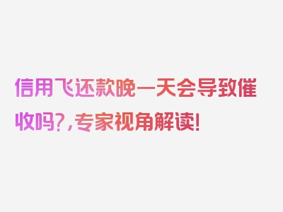 信用飞还款晚一天会导致催收吗?，专家视角解读！