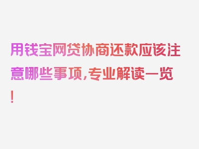 用钱宝网贷协商还款应该注意哪些事项，专业解读一览！