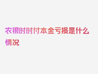 农银时时付本金亏损是什么情况