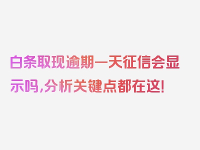 白条取现逾期一天征信会显示吗，分析关键点都在这！