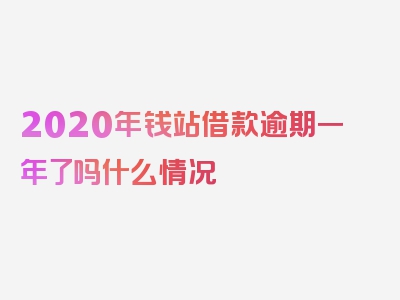 2020年钱站借款逾期一年了吗什么情况