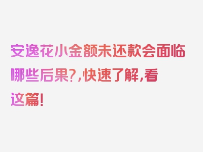 安逸花小金额未还款会面临哪些后果?，快速了解，看这篇！