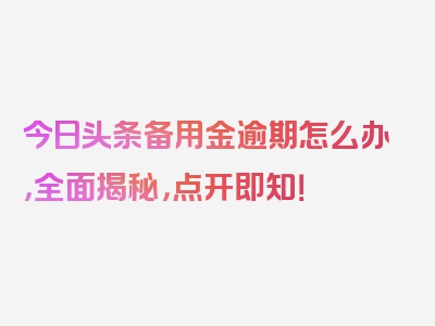 今日头条备用金逾期怎么办，全面揭秘，点开即知！