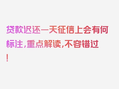 贷款迟还一天征信上会有何标注，重点解读，不容错过！