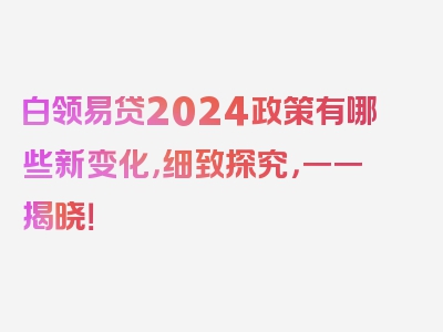 白领易贷2024政策有哪些新变化，细致探究，一一揭晓！