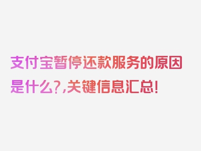 支付宝暂停还款服务的原因是什么?，关键信息汇总！