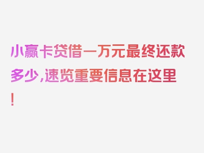 小赢卡贷借一万元最终还款多少，速览重要信息在这里！