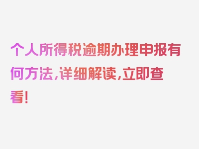 个人所得税逾期办理申报有何方法，详细解读，立即查看！